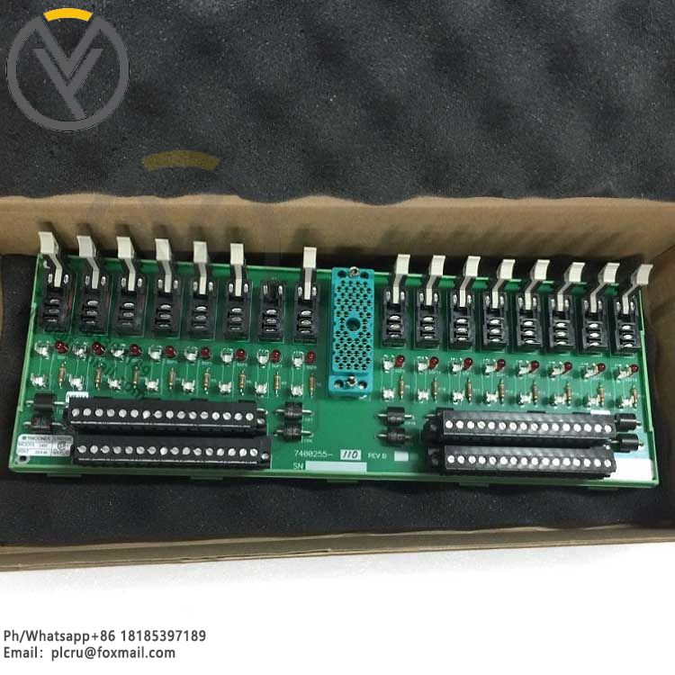 TRICONEX 2402 7400255-110 24V 