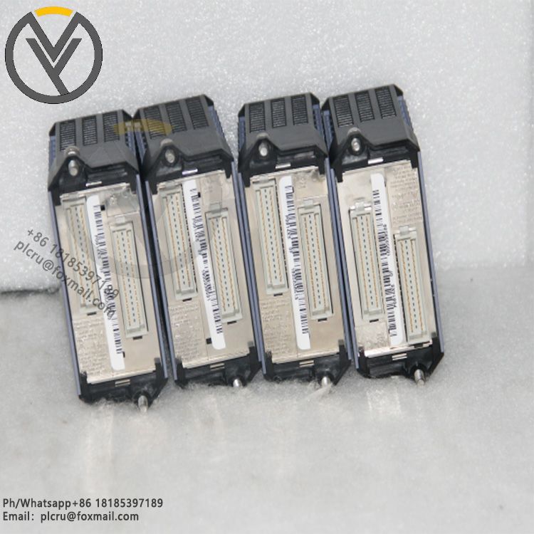 P0973CA Foxboro FEM100 Fieldbus Expansion Module