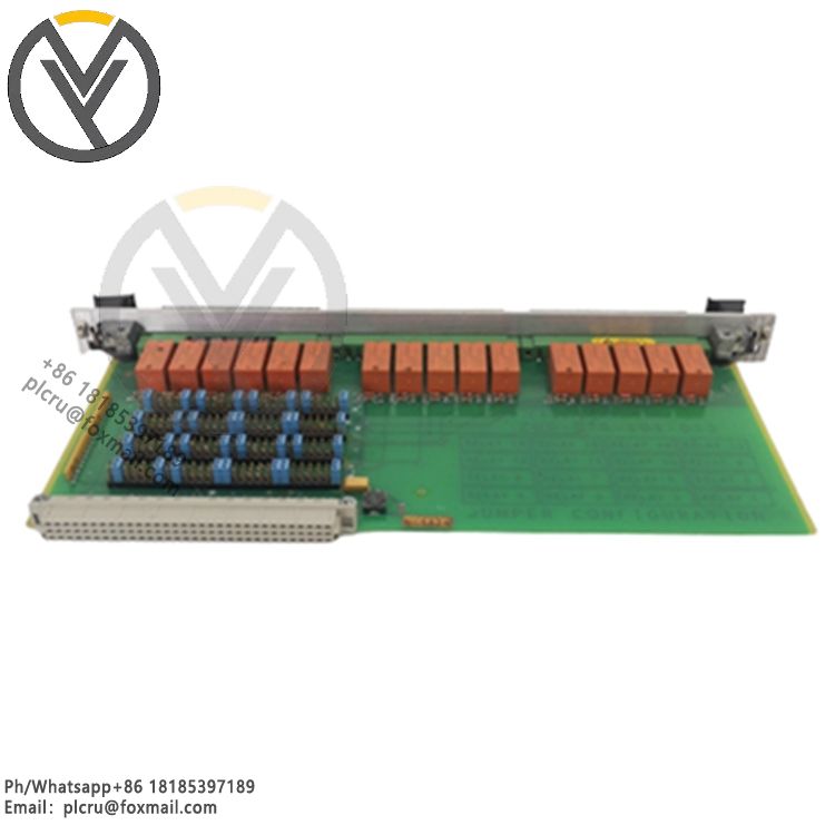 Vibro-meter 620-002-000-113 输入