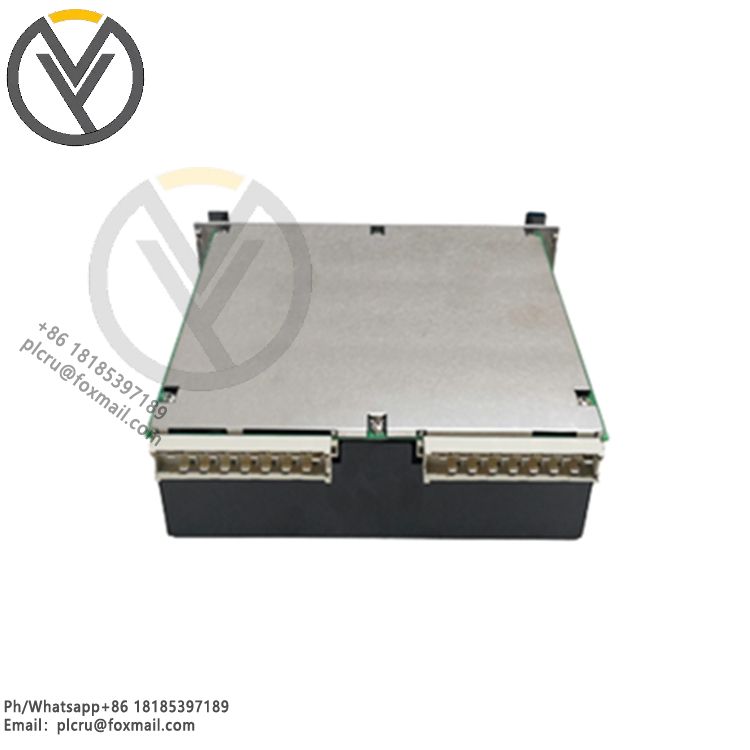 Vibro-meter VM600-RPS6U/113-40060 机械保护卡