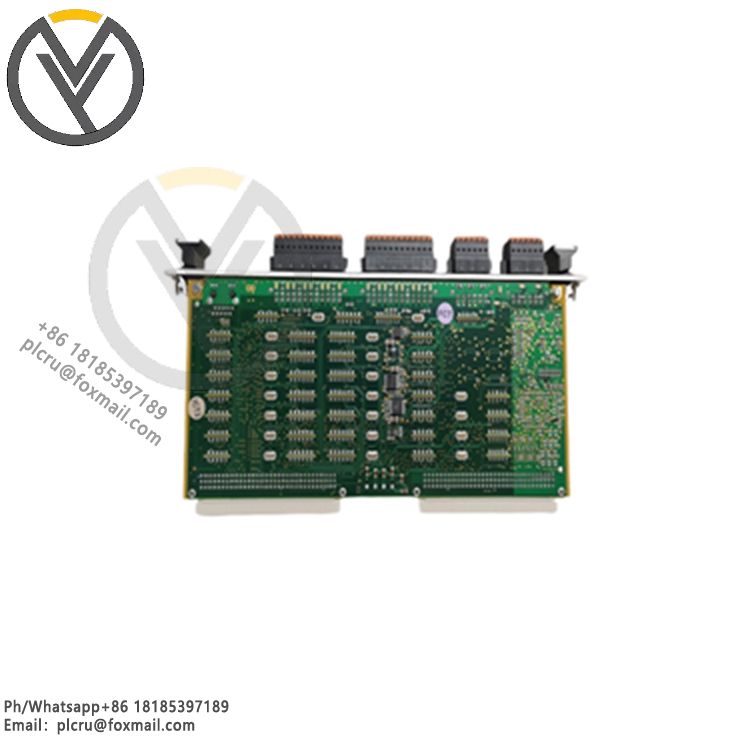 Vibro-meter 620-002-000-113 输入
