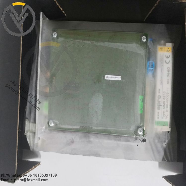 EPRO MMS6210 双通道轴位移监视器