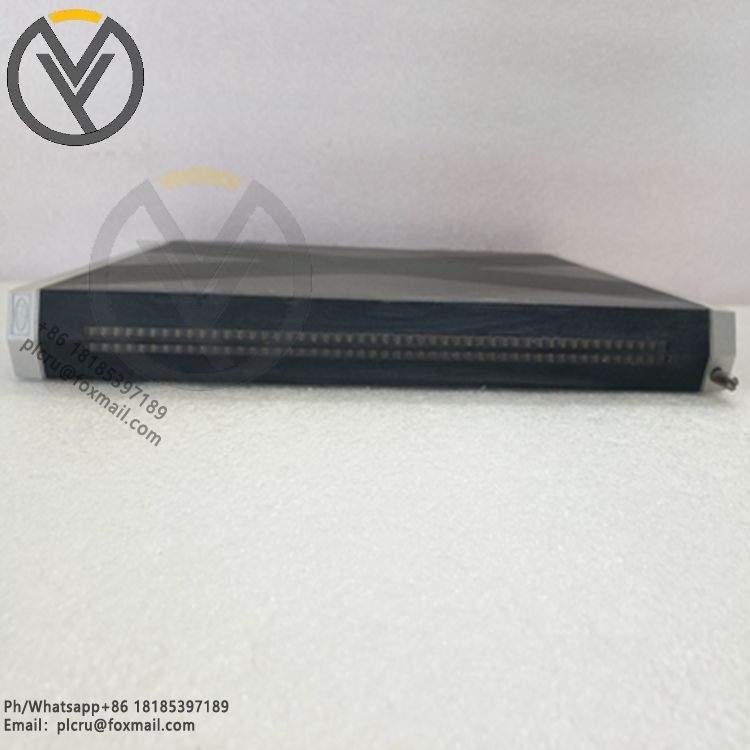 HIMA X-BLK01 632590802 (1).jpg