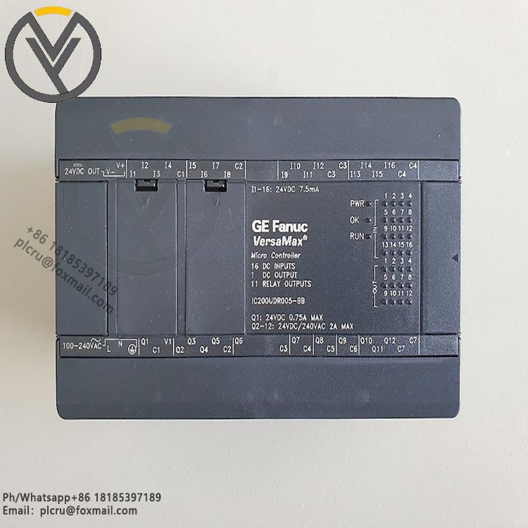 IC200UDR005 (2).jpg