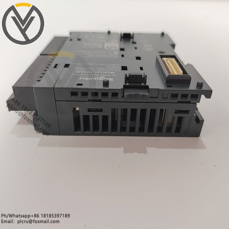 TM3AI8(5).jpg