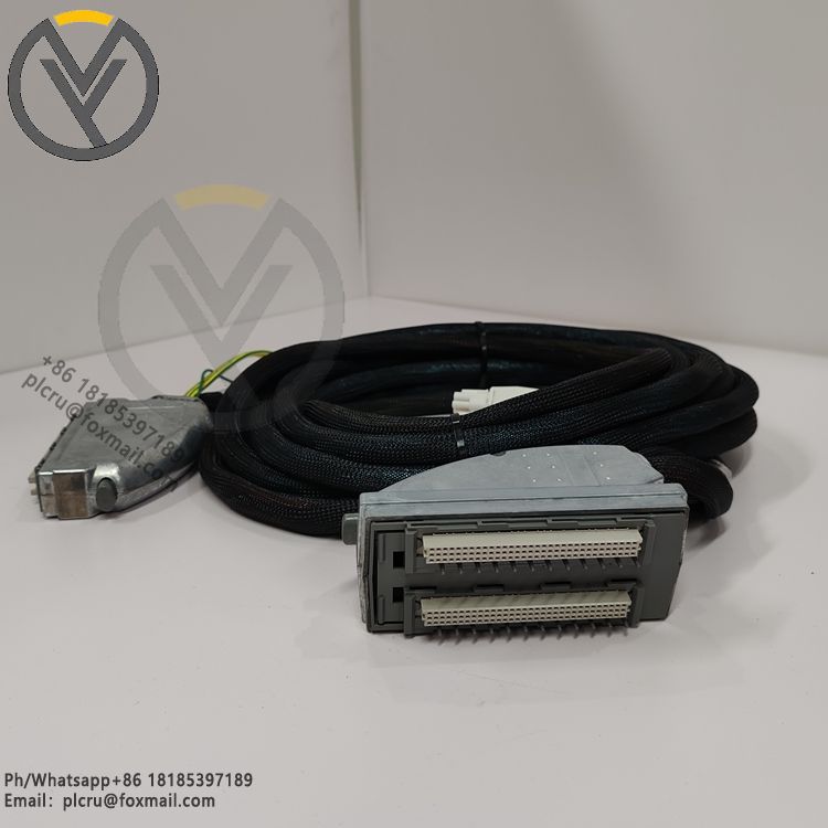 ICS TRIPLEX TC-205-02-8M5 Programmable Logic Controller