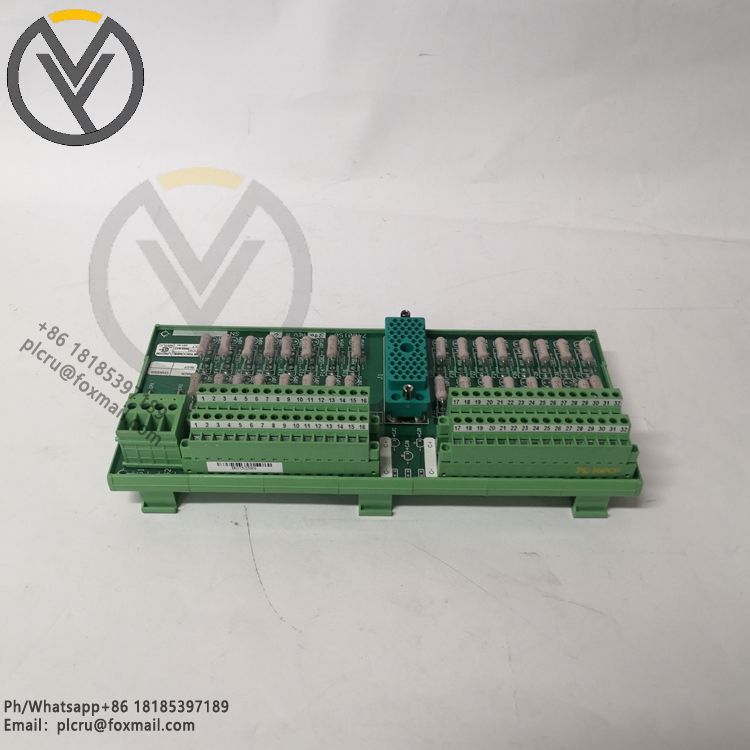 TRICONEX 9566-8XX (4).jpg